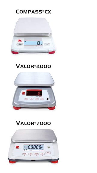 Food Scales